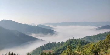 云上水鄉普者黑行攝記 漫步舍得草場，邂逅五月滇東南的詩意